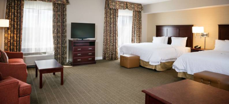 托雷多佩利斯堡希尔顿欢朋旅馆&套房酒店(Hampton Inn & Suites Toledo-Perrysburg)图片