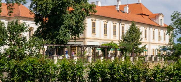 马克西米廉品质生活度假酒店(Maxmilian Lifestyle Resort)图片