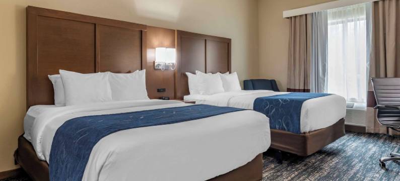 市中心舒适套房酒店-近大学(Comfort Inn & Suites Downtown Near University)图片