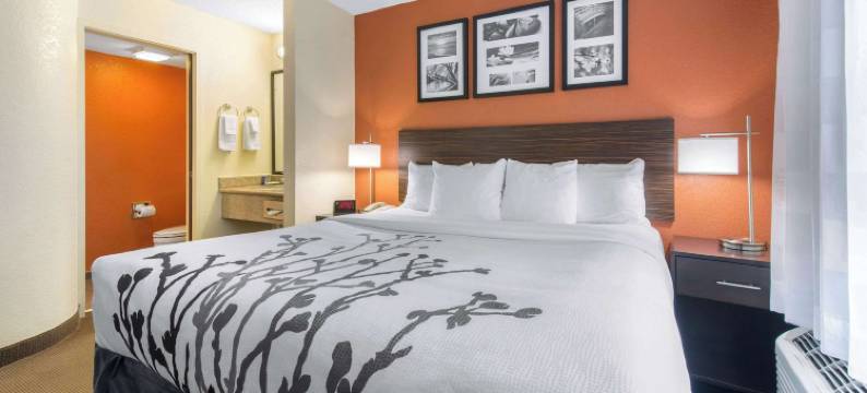 萨拉索塔北舒眠酒店(Sleep Inn Sarasota North)图片