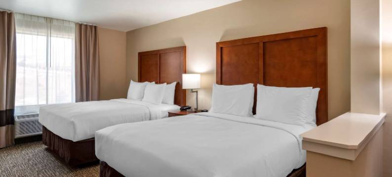 舒适酒店及套房(Comfort Inn & Suites)图片