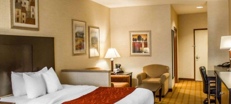 舒适套房酒店(Comfort Suites Edinboro)图片