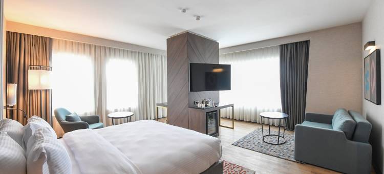 安卡拉皇冠假日酒店(Crowne Plaza Ankara)图片