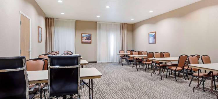 梅里尔维尔舒适套房酒店 - 近 US 30(Comfort Suites Merrillville Near US 30)图片