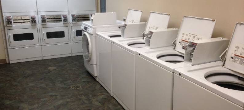 罗切斯特医城Birch Hill套房(Birch Hill Suites Rochester - Med City)图片