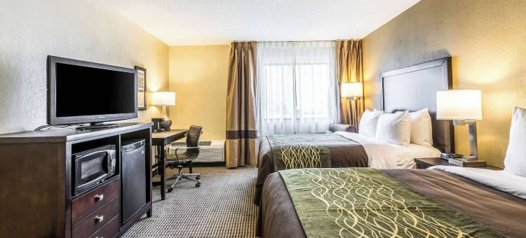 舒适酒店-市中心(Comfort Inn Downtown)图片