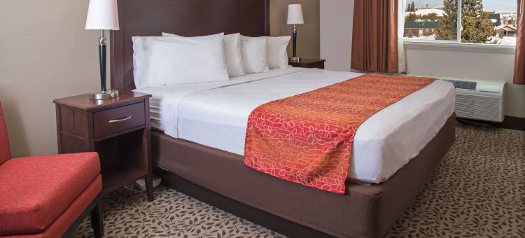 灰狼套房酒店(Gray Wolf Inn & Suites)图片