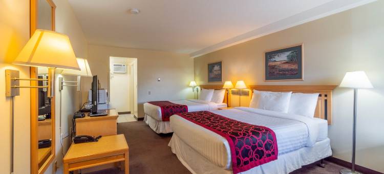 卡什溪加拿大最佳价值沙漠套房酒店(Canadas Best Value Desert Inn & Suites)图片