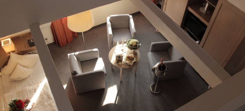 罗曼提斯切斯曼扎萨酒店(Romantisches Hotel Menzhausen)图片