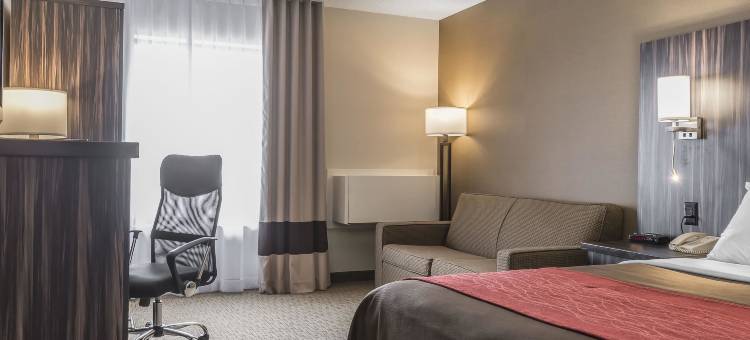 特伦顿舒适酒店(Comfort Inn Trenton)图片