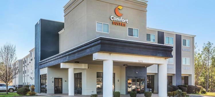 纳可杜契斯舒适全套房酒店(Comfort Suites Nacogdoches)图片