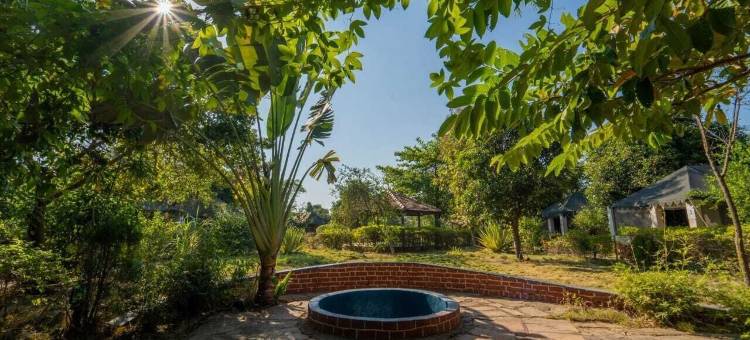 塔杜巴赛来泰格露营酒店(Camp Serai Tiger Tadoba)图片