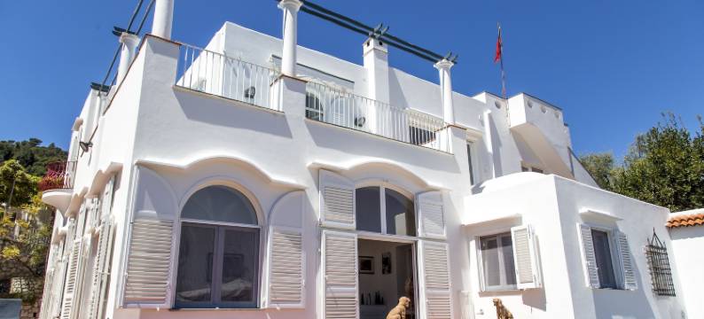 卡罗莱纳州套房别墅旅馆(Suite Villa Carolina)图片