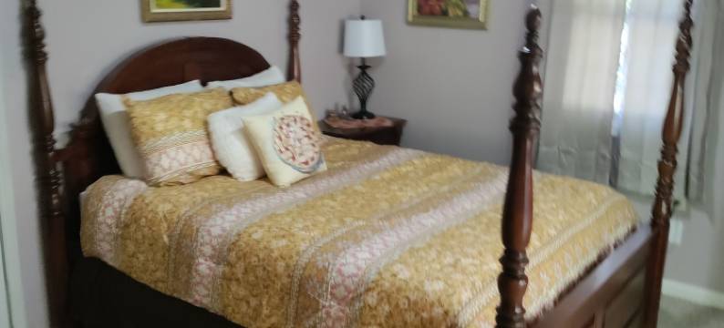 小黑熊旅馆(Lil Black Bear Inn)图片