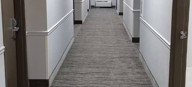 金伍德休斯顿北部舒适套房酒店(Comfort Suites Kingwood Houston North)图片