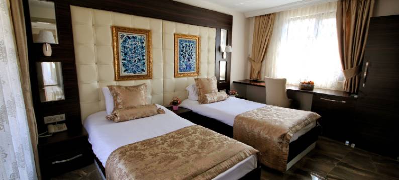 维纳斯套房酒店(Venus Suite Hotel)图片