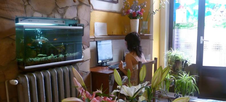 康马索旅馆(Hostal Comercial)图片