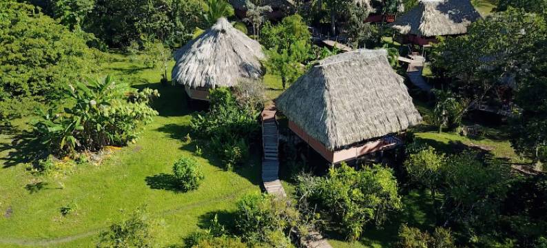 棉花树旅馆(Cotton Tree Lodge)图片
