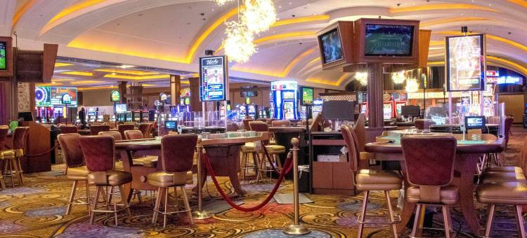 蓝筹娱乐场酒店及水疗中心(Blue Chip Casino Hotel and Spa)图片