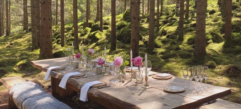 亚萨海尔嘉德酒店(Asa Herrgård)图片