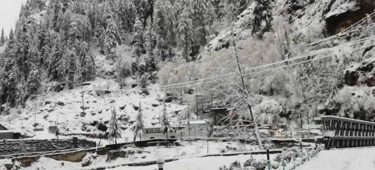 Aikyam 小屋和营地(Aikyam Cottages & Camps - Kasol)图片