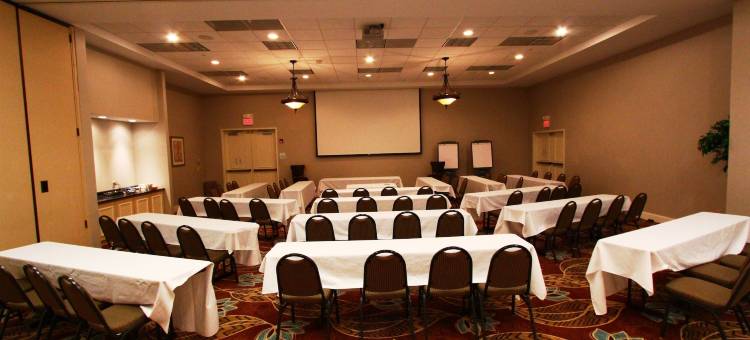 埃芬汉假日酒店(Holiday Inn Effingham)图片