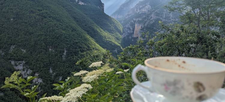 卡萨阿维拉山间度假屋(Casa Avella Mountain Retreat)图片