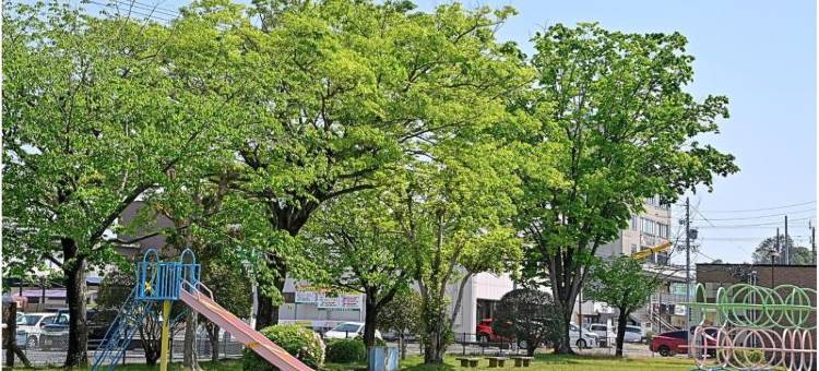 可儿公园酒店(Park Hotel Kani)图片