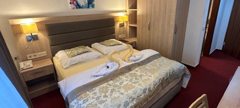 索纳尔餐厅酒店(Hotel Sonne)图片