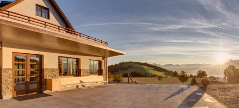 波戴勒高山酒店(Bödele Alpenhotel)图片