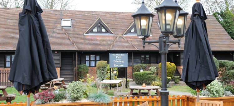 白鹿 - 格林国王旅馆(White Hart by Chef & Brewer Collection)图片