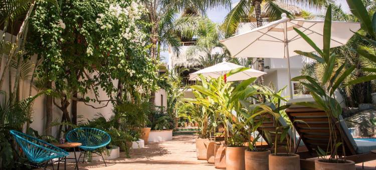 热带帕玛尔酒店(Pal.Mar Hotel Tropical)图片