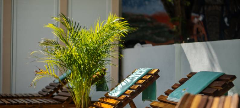 加勒比金塔酒店(La Quinta Caribeña)图片