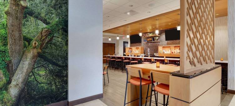 德鲁里广场酒店-塔拉哈西(Drury Plaza Hotel Tallahassee)图片