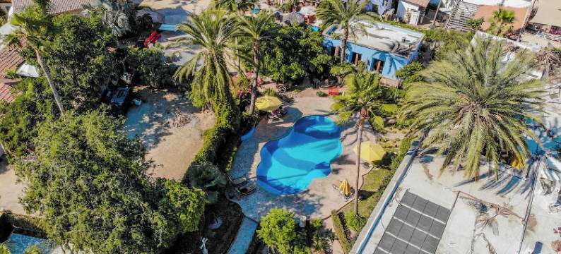 埃尔恩坎托酒店及套房(El Encanto Inn & Suites)图片