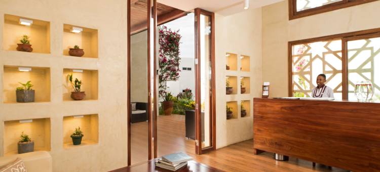 曼缇斯南威梦想酒店(Nungwi Dreams by Mantis)图片