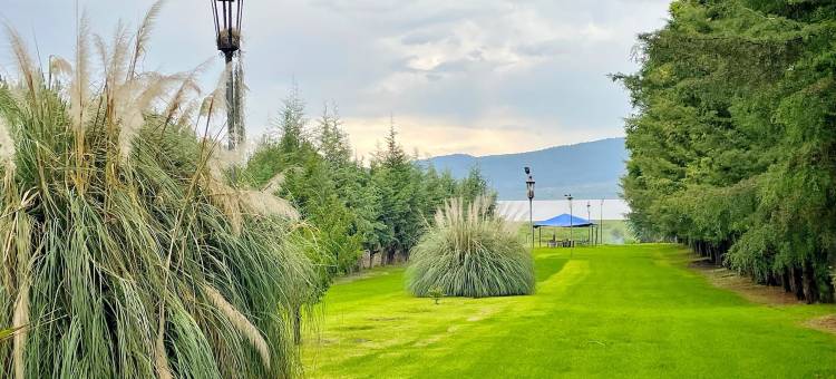 桑杜加拉戈钦钦扎(Sandunga Lago Tzintzuntzan)图片