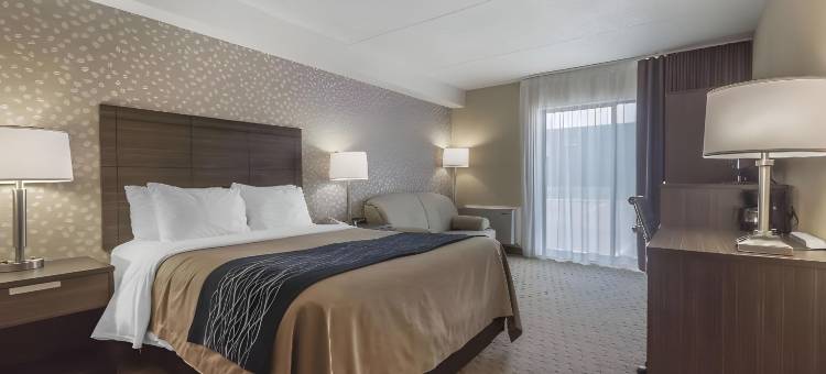 莱维斯舒适酒店(Comfort Inn)图片