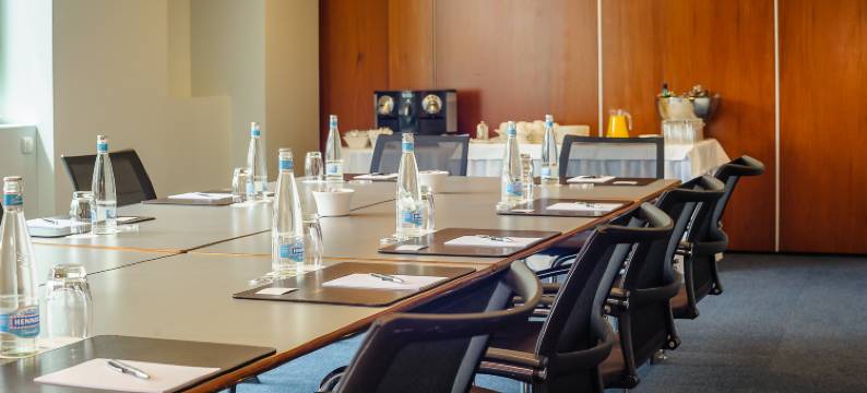 洛桑宫殿酒店(Lausanne Palace)图片