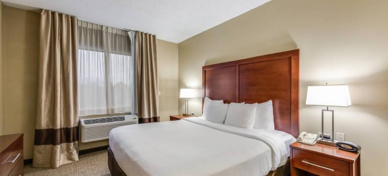 芝加哥奥黑尔机场舒适套房酒店(Comfort Suites Chicago O'Hare Airport)图片