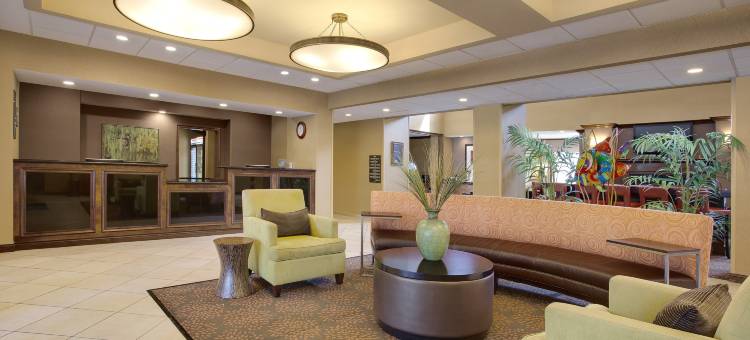坦帕-布兰登Homewood Suites by Hilton(Homewood Suites by Hilton Tampa-Brandon)图片