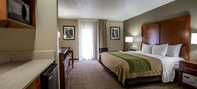 多利伍德街舒适酒店(Comfort Inn & Suites at Dollywood Lane)图片