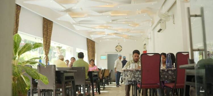 迪加海豚酒店(Hotel Dolphin)图片