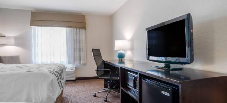 奥本校园区I-85舒眠套房酒店(Sleep Inn & Suites Auburn Campus Area I-85)图片