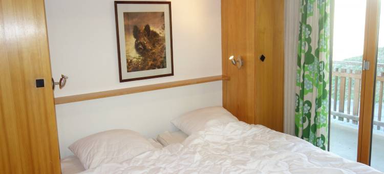 Cozy apartment for groups图片