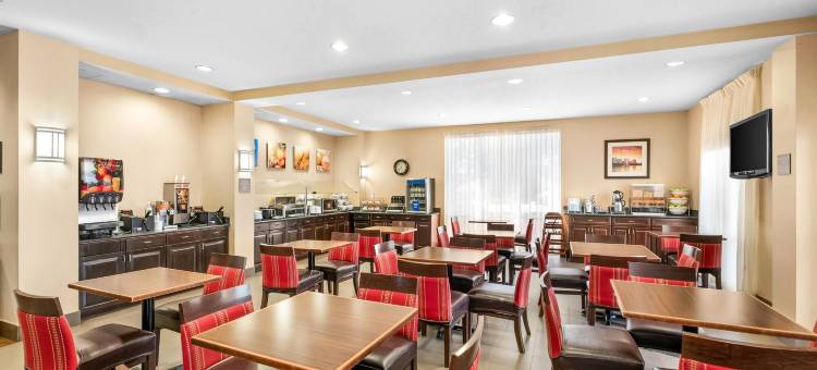 奥兰多机场舒适套房酒店(Comfort Suites Orlando Airport)图片