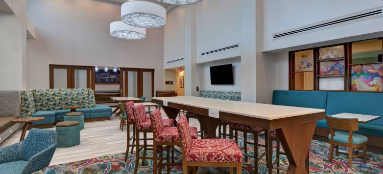 坦帕河景布兰登希尔顿欢朋套房酒店(Hampton Inn & Suites Tampa Riverview Brandon)图片