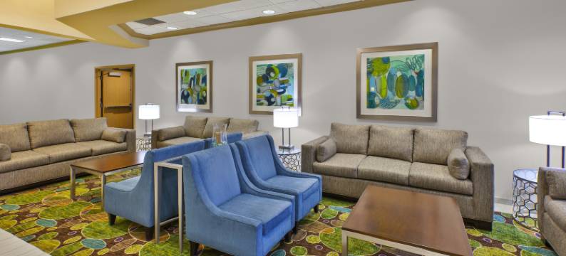 洲际酒店集团博林布鲁克假日酒店及套房(Holiday Inn & Suites BOLINGBROOK by IHG)图片