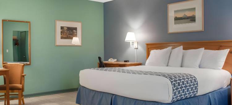 南水牛城伊克诺旅馆酒店(Econo Lodge Buffalo South)图片