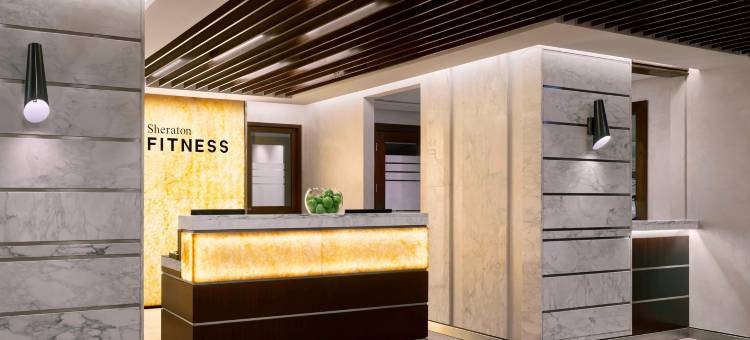 安曼艾那比尔喜来登大酒店(Sheraton Amman Al Nabil Hotel)图片